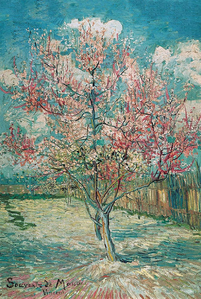 Seloom 2000 Pieces Jigsaw Puzzle for Adults with Kids Floor Puzzle Kids Intellectual Game Learning Education Decompression Toys